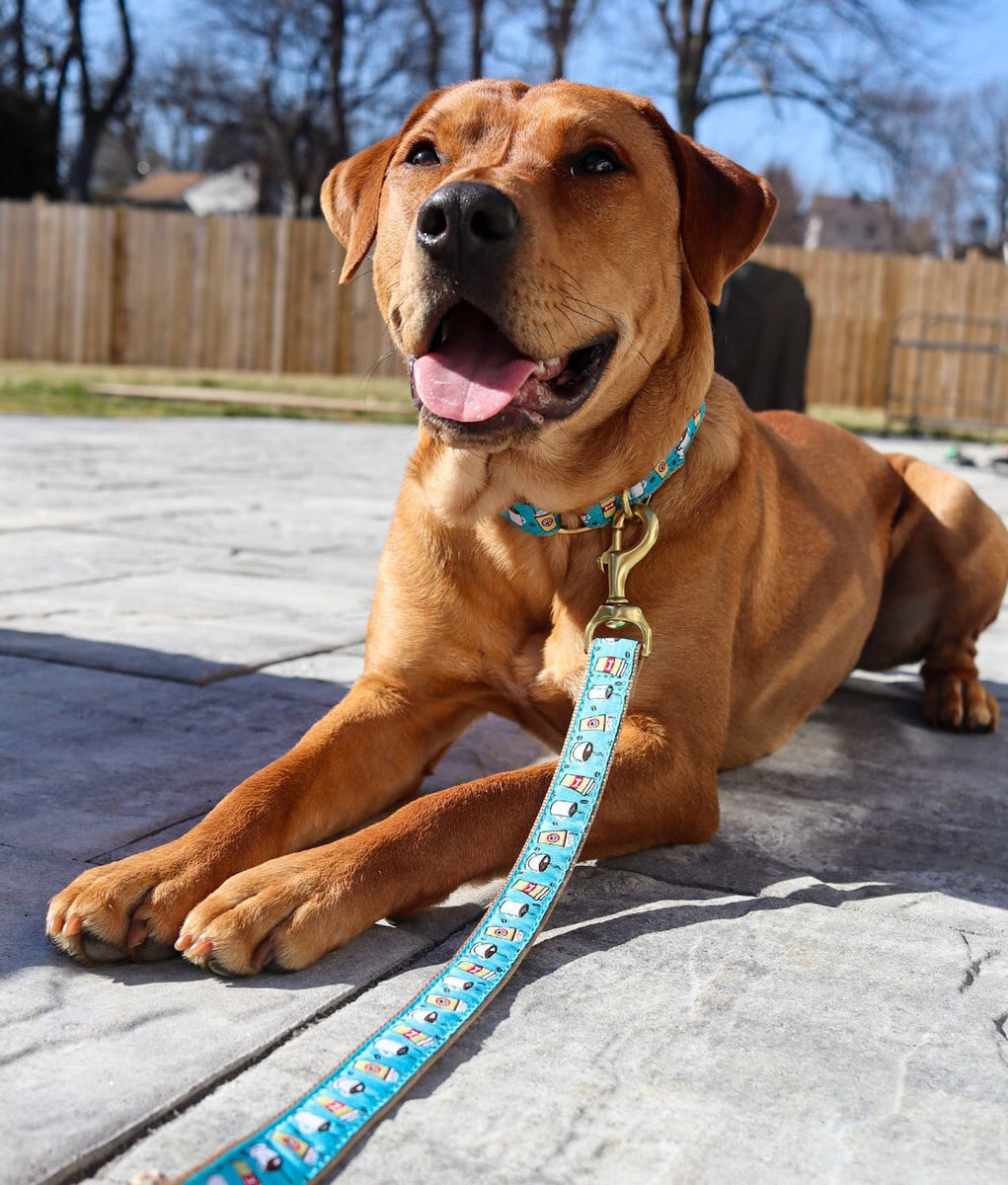 Up Country Coffee Nut Martingale Dog Collar Up Country Inc