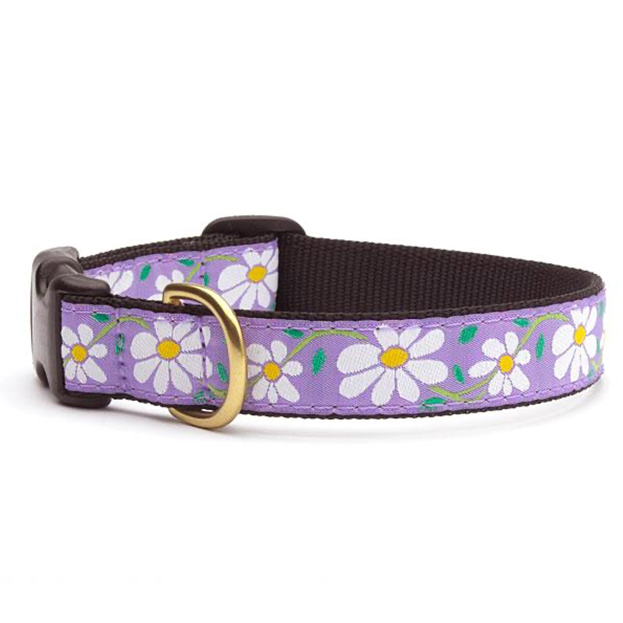 Up Country Daisy Dog Collar – Up Country Inc
