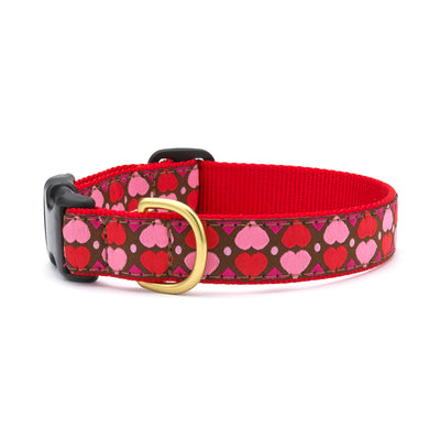 All Hearts Dog Collar