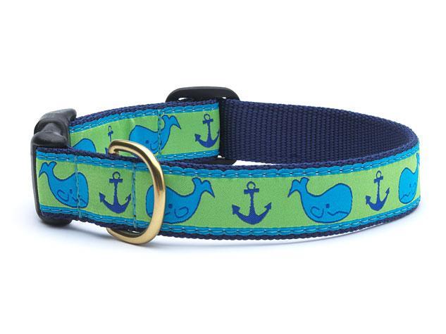 Whale dog collar store