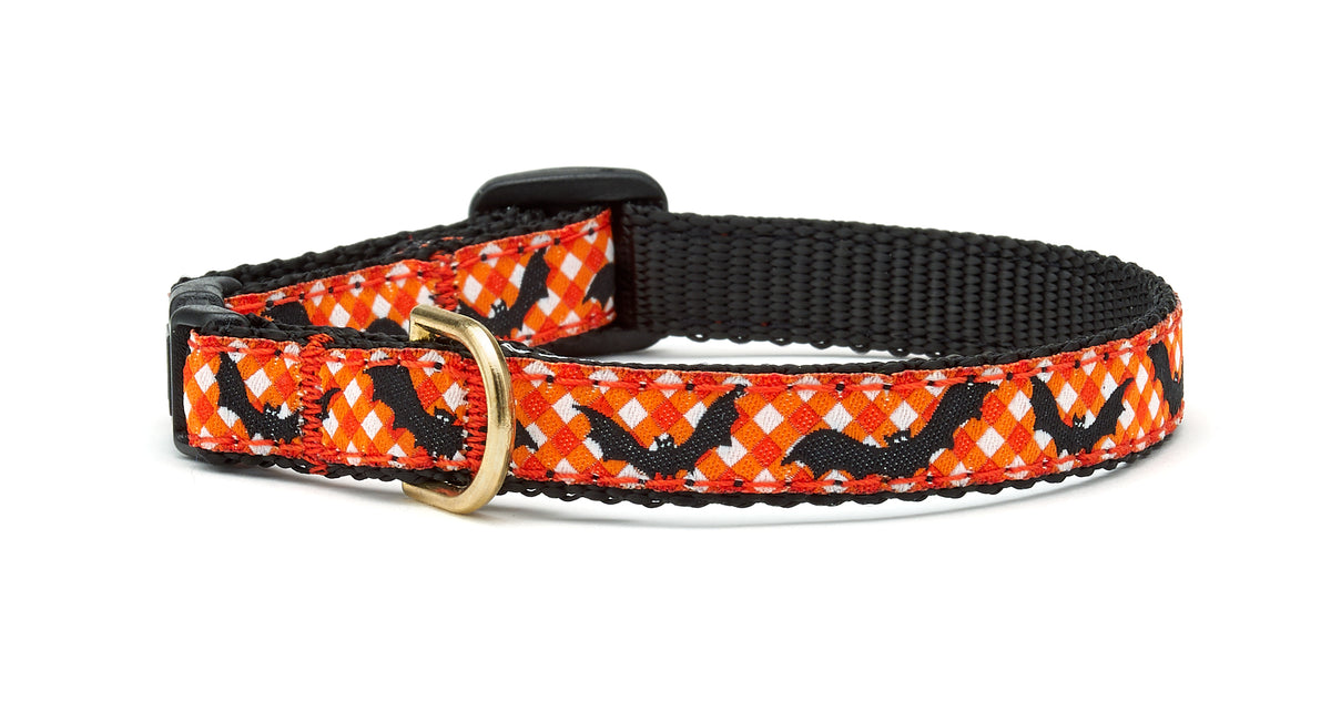 Up country 2025 cat collars