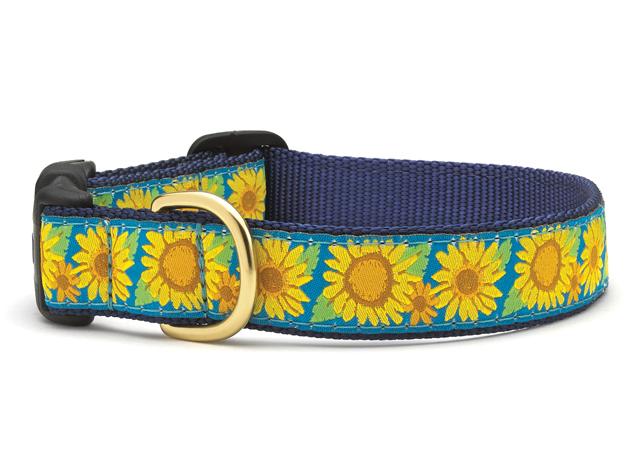 Sunflower dog collar hotsell