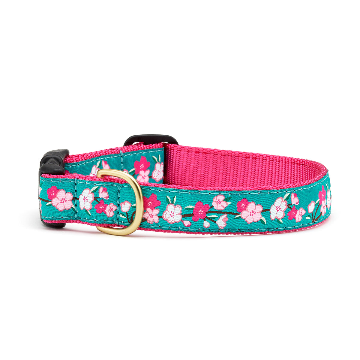 Up Country - Pinecones Dog Collar – Up Country Inc