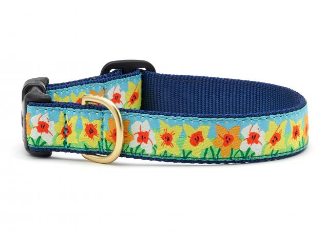 Daffodil dog sales collar