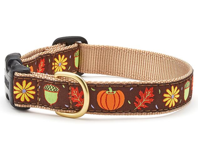 Fall dog collar 2025