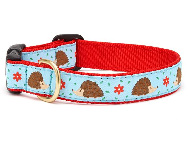 Hedgehog dog collar online