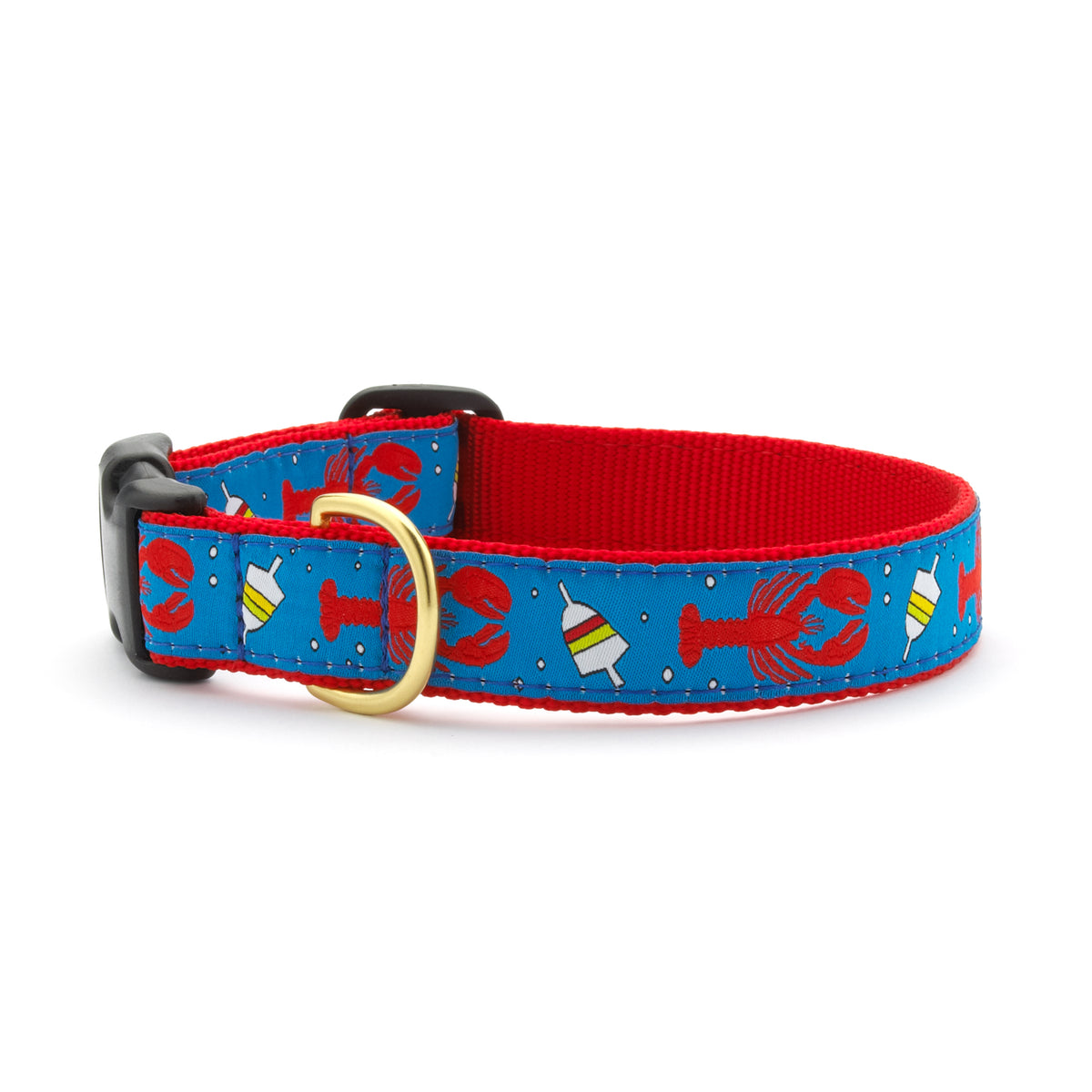 Local Boy Outfitters LBO Water Repellent Dog Collar
