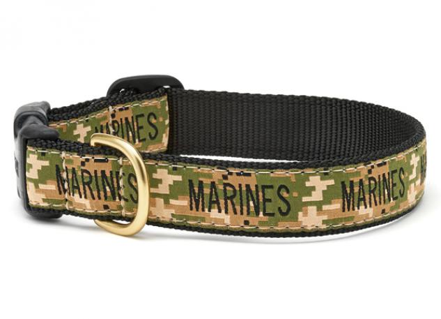 Up Country - Pirate Dog Collar – Up Country Inc