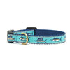Marlin Small Breed Dog Collar