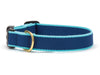 Color Market Dog Collar - Wide