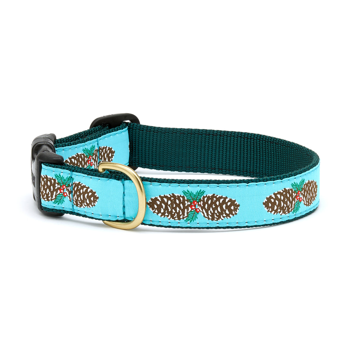 Up Country - Pirate Dog Collar – Up Country Inc