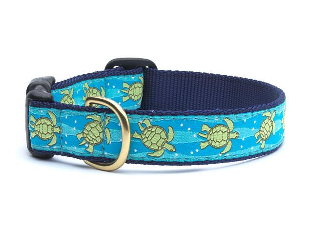 Up Country - Pirate Dog Collar – Up Country Inc