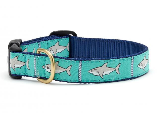 Shark store dog collars