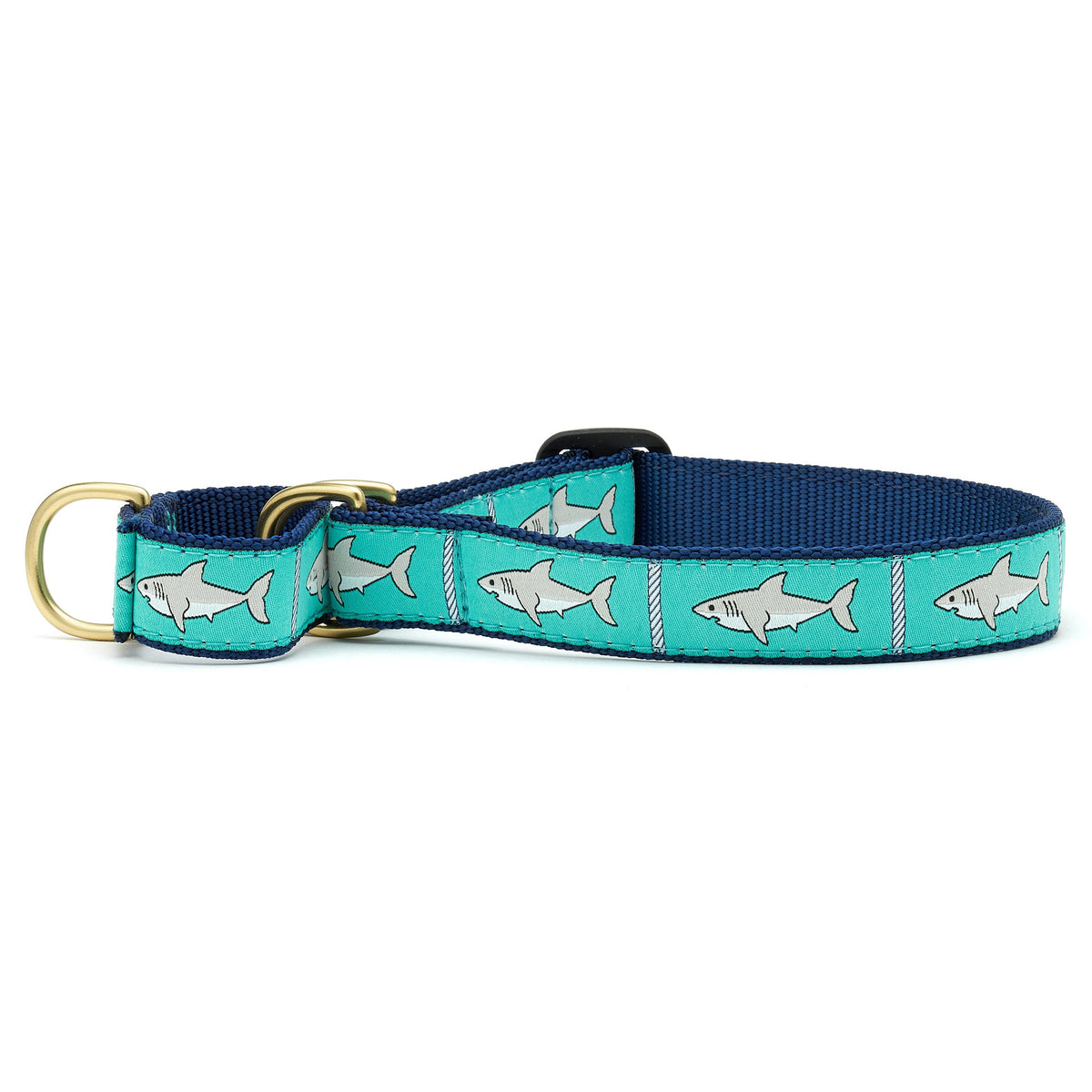 Shark top dog collar