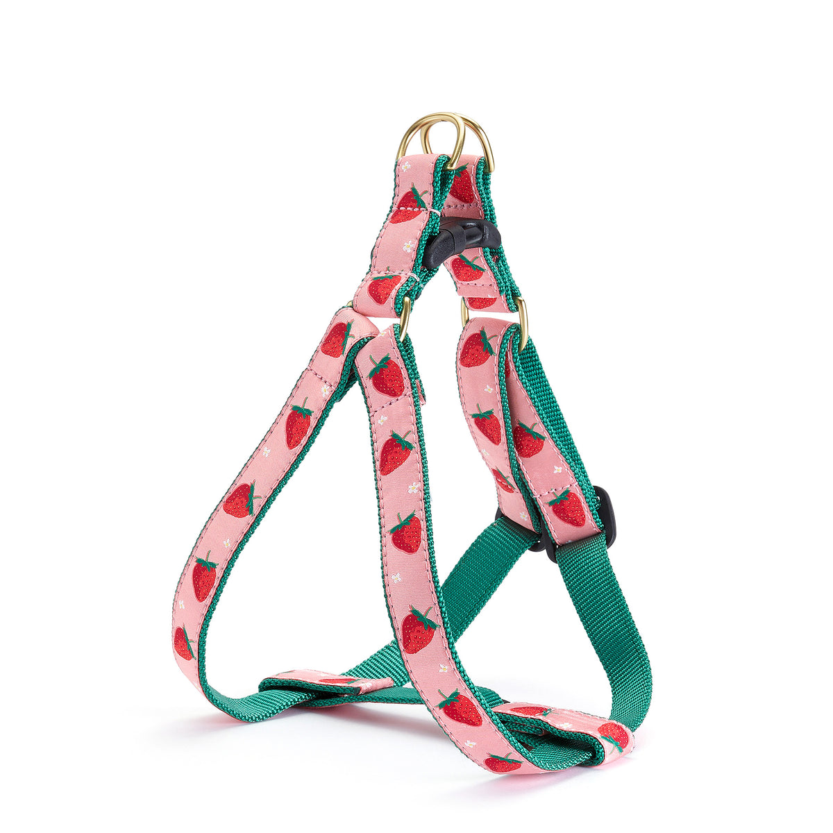 Strawberry Dog Harness & Leash Set