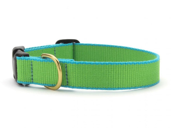 Color Market Dog Collar - Wide