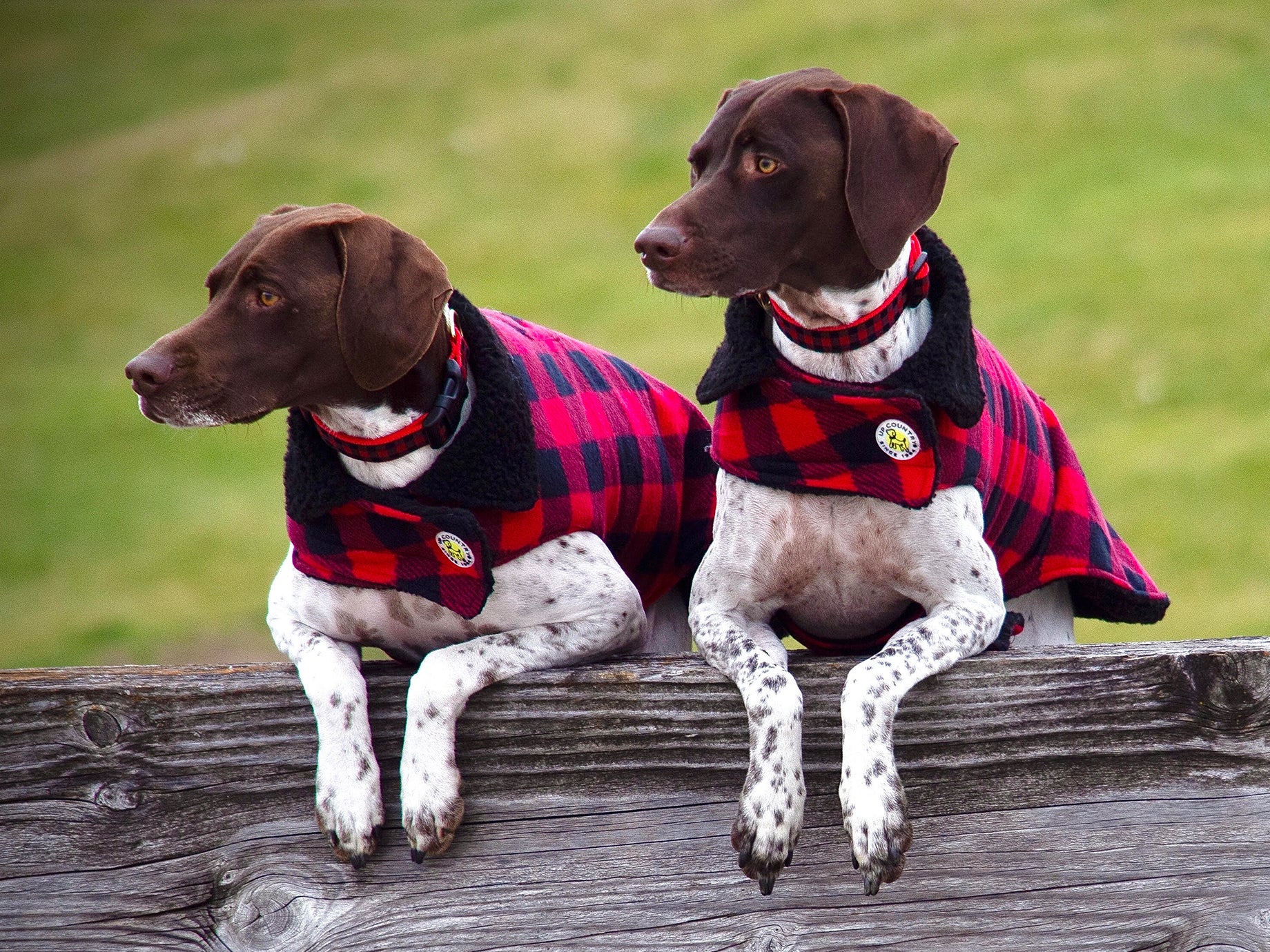 Lucky Love Dog Christmas Holiday Winter Dog Collars Cute Colorful  Comfortable Collar For Small Medium Large Dogs Girl Dog Collar