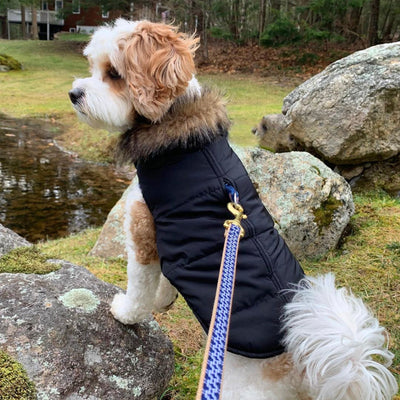 Aspen Puffer Coat for Dogs