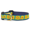 Bright Sunflower Dog Collar