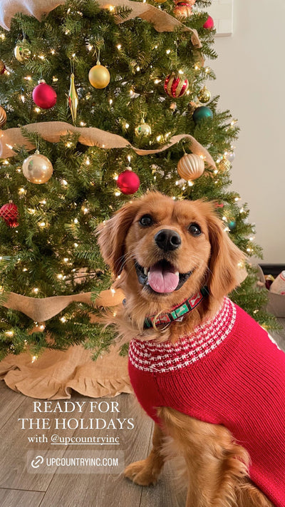 Christmas Tree Sweater