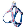 Catch of the Day Dog Harness