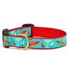 Cinco de Mayo Dog Collar