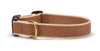 Color Market Dog Collar - Narrow