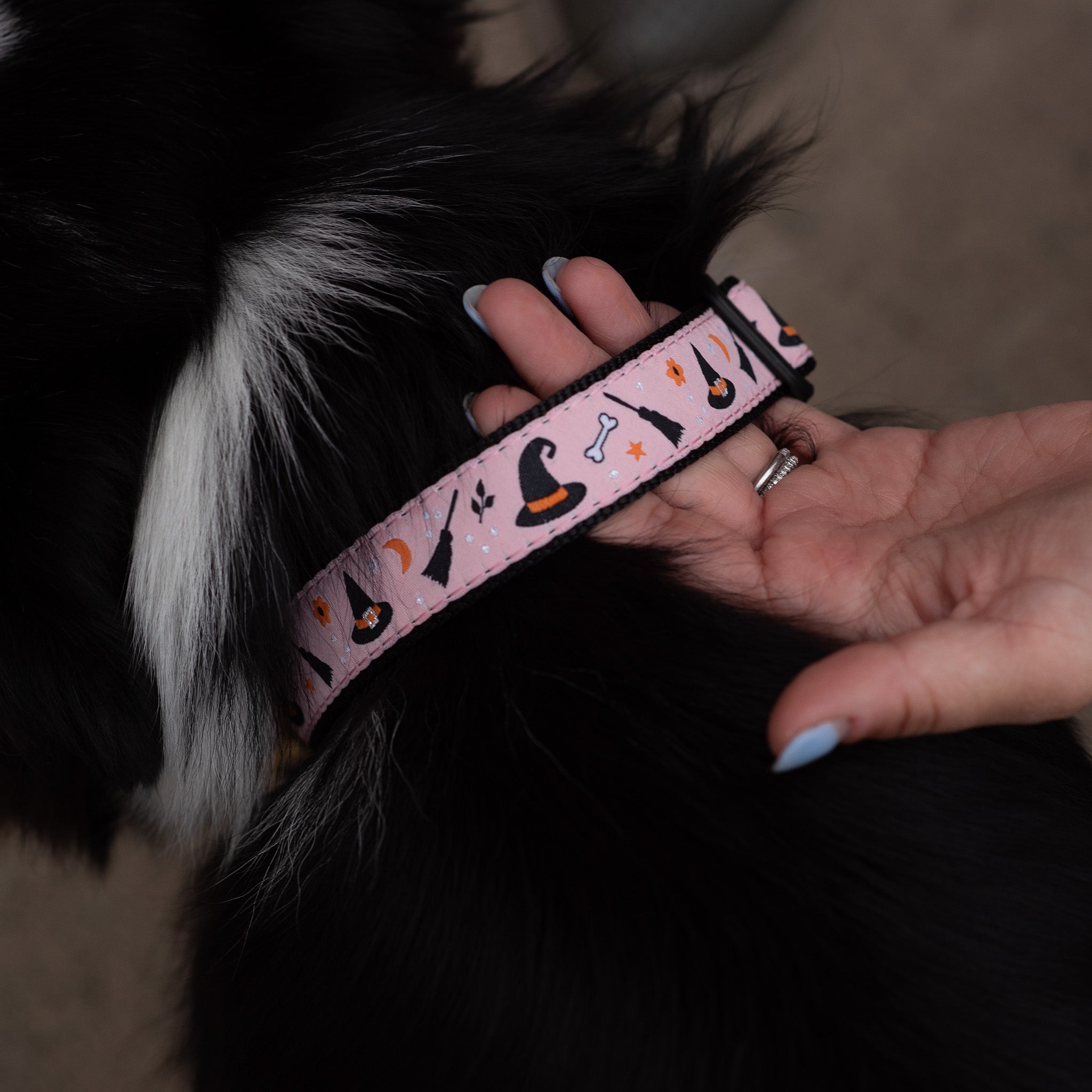 Up Country Halloween Hundehalsband, Schmal (5/8 Zoll), Größe S – Nylon Mit Messing-Schnalle, Made In USA