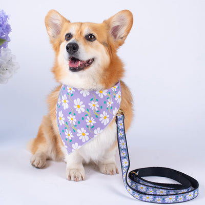 Daisy Bandana