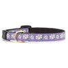Daisy Small Breed Dog Collar