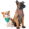 Pickleball Bandana