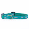 Dolphin Small Breed Dog Collar