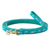 Dolphin Small Breed Dog Lead