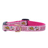 Howdy Small Breed Dog Collar