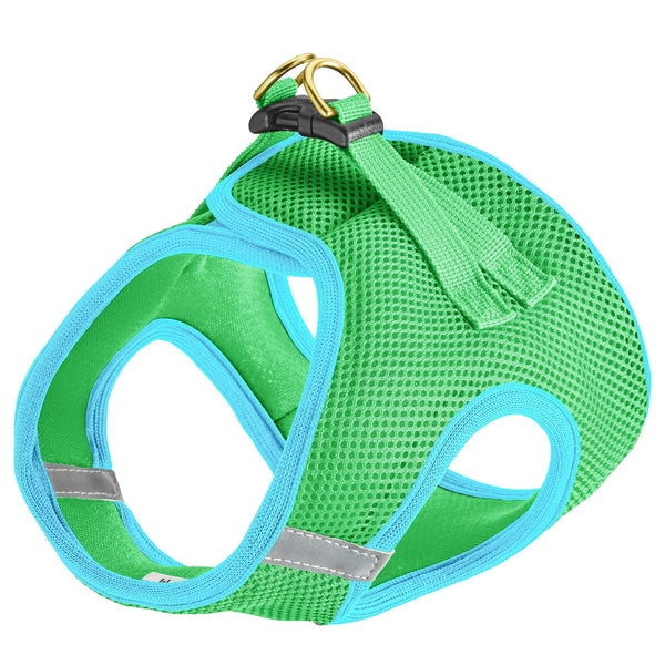 Lime and Aqua Small Dog Vest Harness