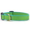 Color Market Dog Collar - Narrow