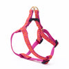 Love Small Breed Dog Harness