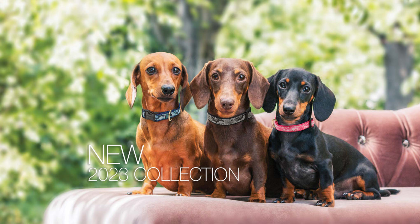 Three Daschunds sit together on a pink sofa wearing Up Country Camo Dog Collars. The text reads "New 2023 Collection"