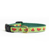 One in a Melon Small Breed Dog Collar