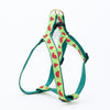 One in a Melon Dog Harness