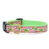 Pink Palms Dog Collar
