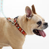 Pumpkin Spice Printed Dog Collar - Brown