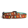 Pumpkin Spice Printed Dog Collar - Brown