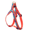 Ski and Surf Dog Harness