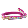 Spring Fever Small Breed Dog Lead