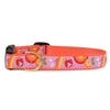 Spritz Dog Collar