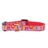 Spritz Small Breed Dog Collar