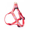 Spritz Small Breed Dog Harness