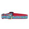 Swim Time Small Breed Dog Collar