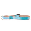 Turquoise Gingham Martingale Dog Collar